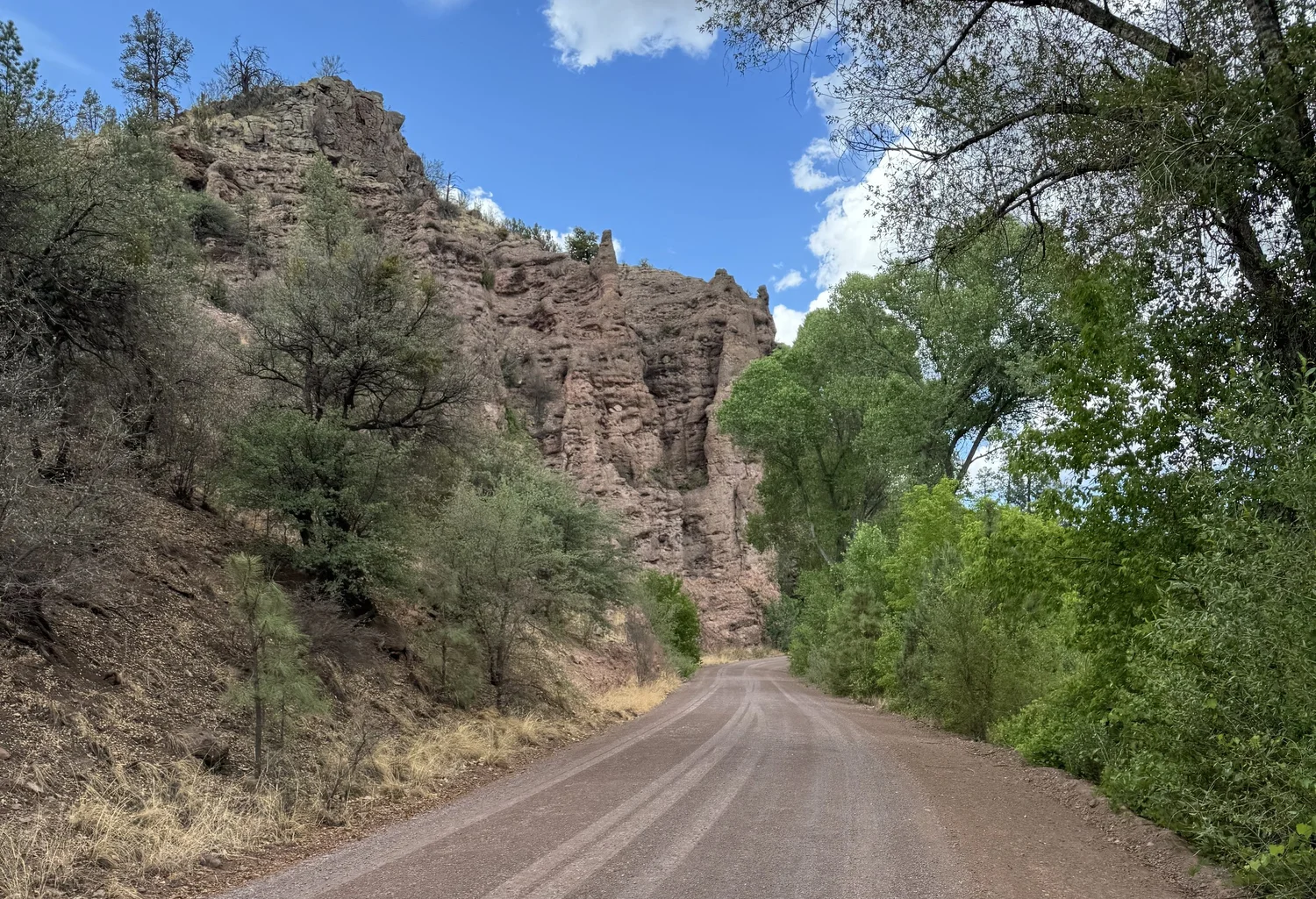 Photograph 2 — mountain man