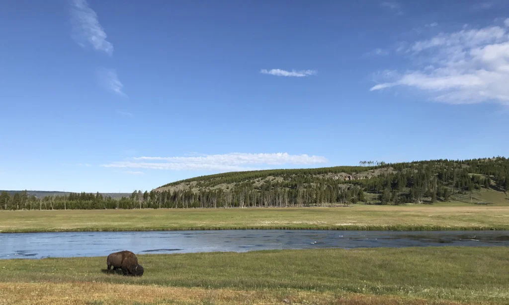 Foto 6 — yellowstone