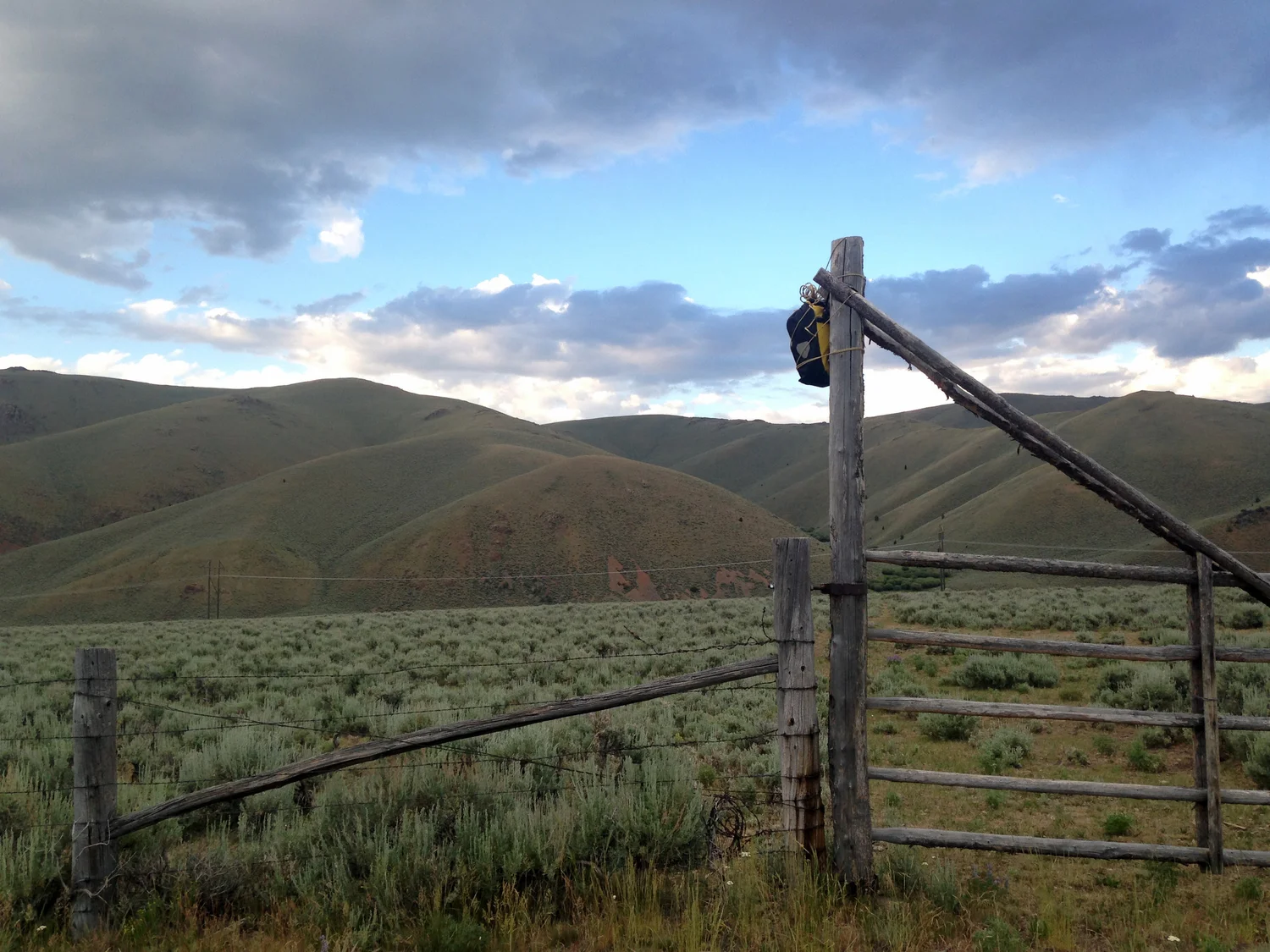Foto 9 — rowwe aarde