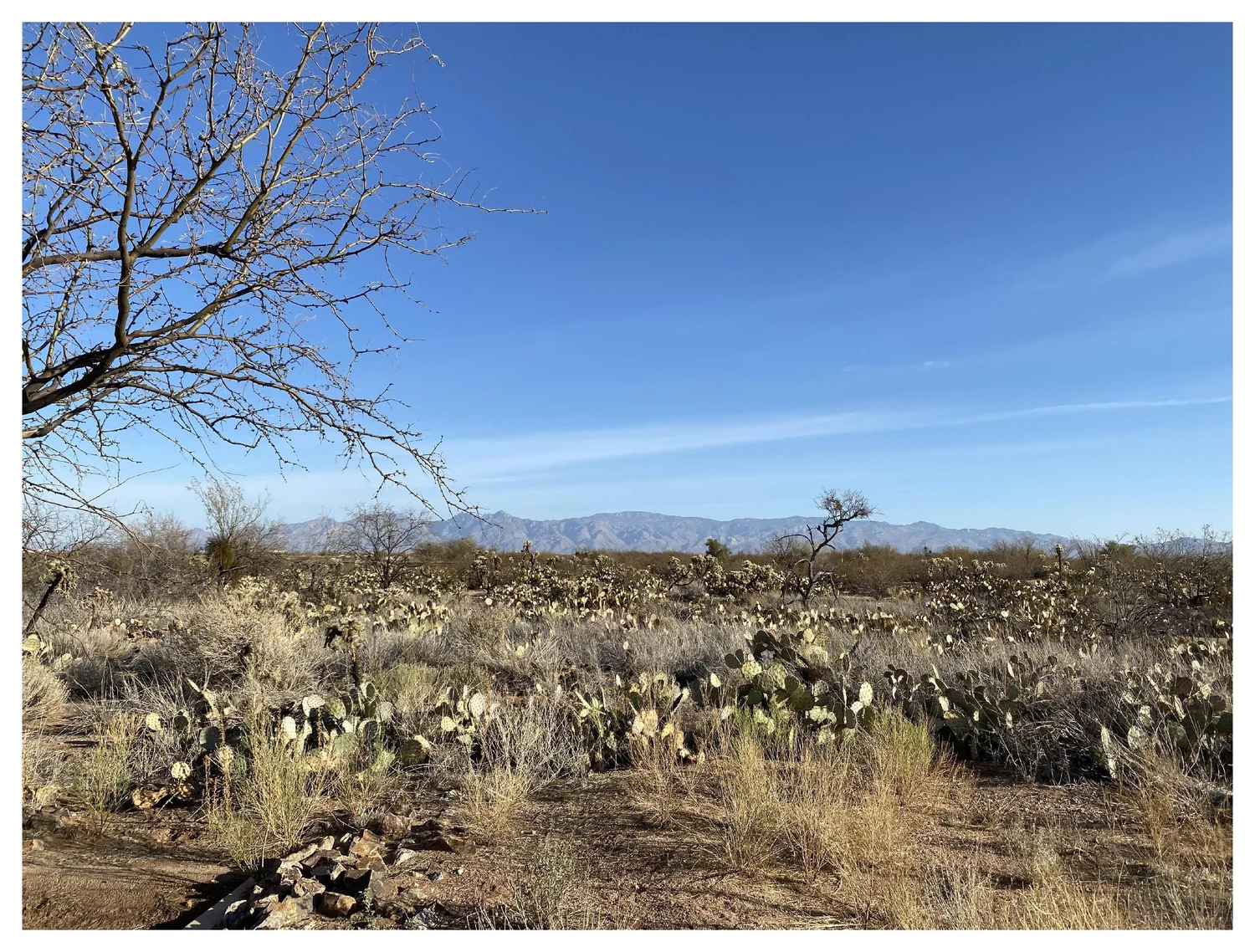 Photograph 1 — in praise of the overnighter